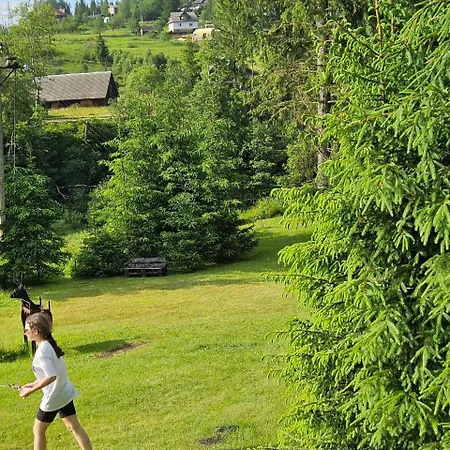 Pigy 3* Татаров