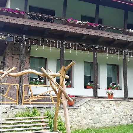 Pigy Hotel